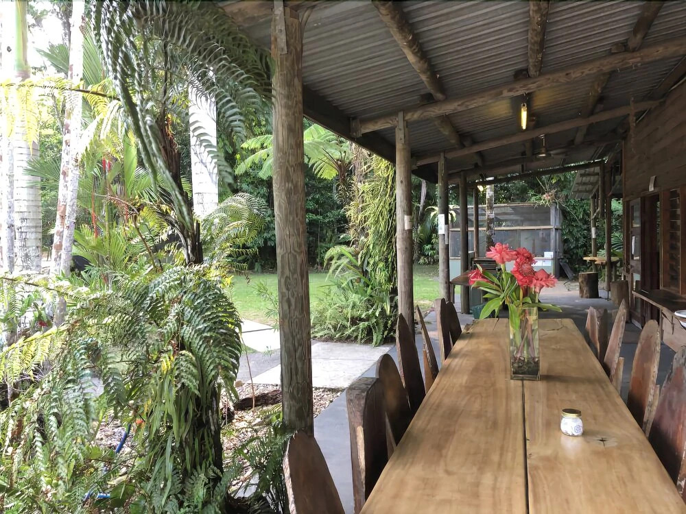Daintree Siesta