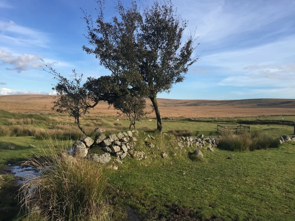 Dartfordleigh B&B