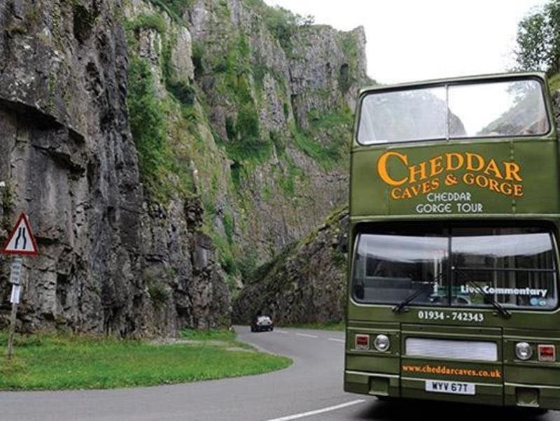 YHA Cheddar