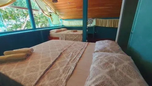 Monkey beach agroturismo