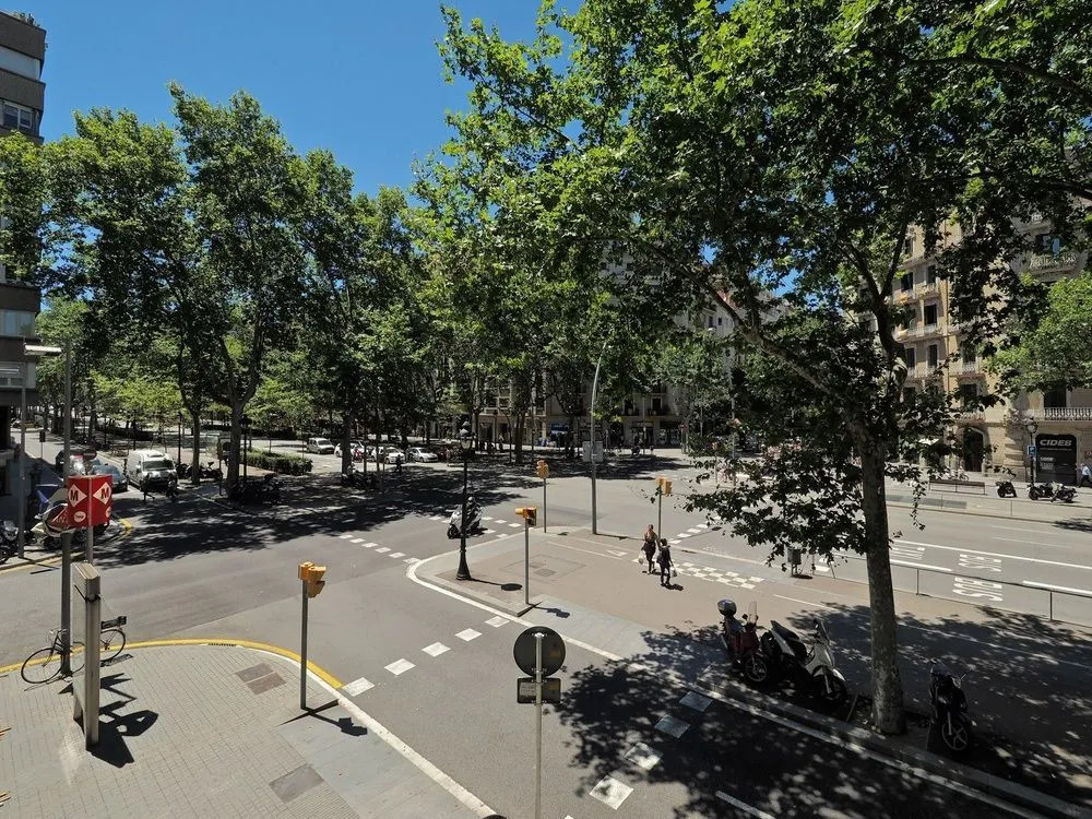 Central Park II