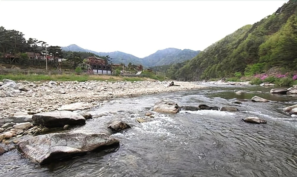 Wongju Pine Pension