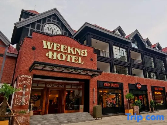Busy koala Weeknd Hotel
