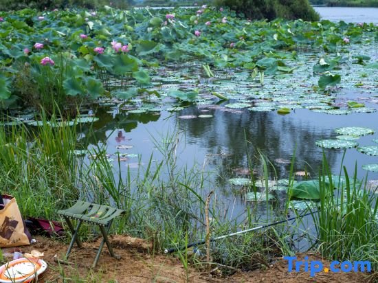 Xiangwang Lake View Vacation Homestay (Puzhehei Scenic Area Branch)