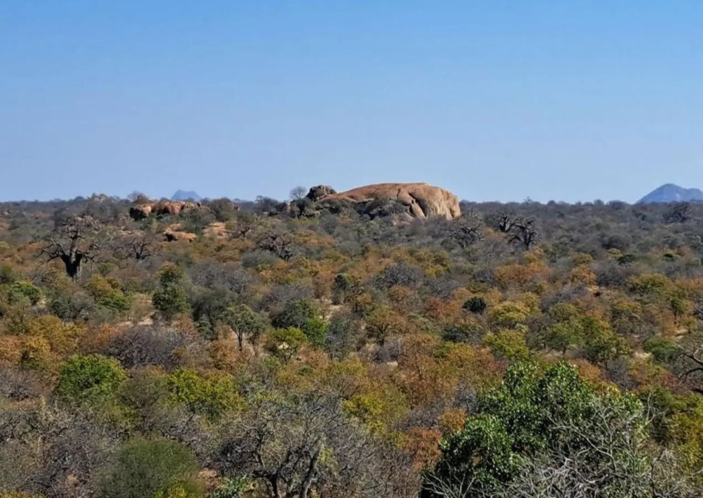 Hambana Lifestyle Lodge