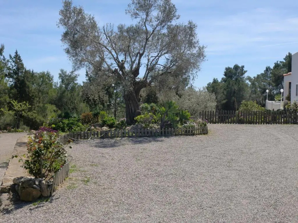 Villa Es Socorrat