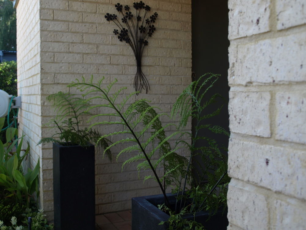 Baudins of Busselton Bed and Breakfast