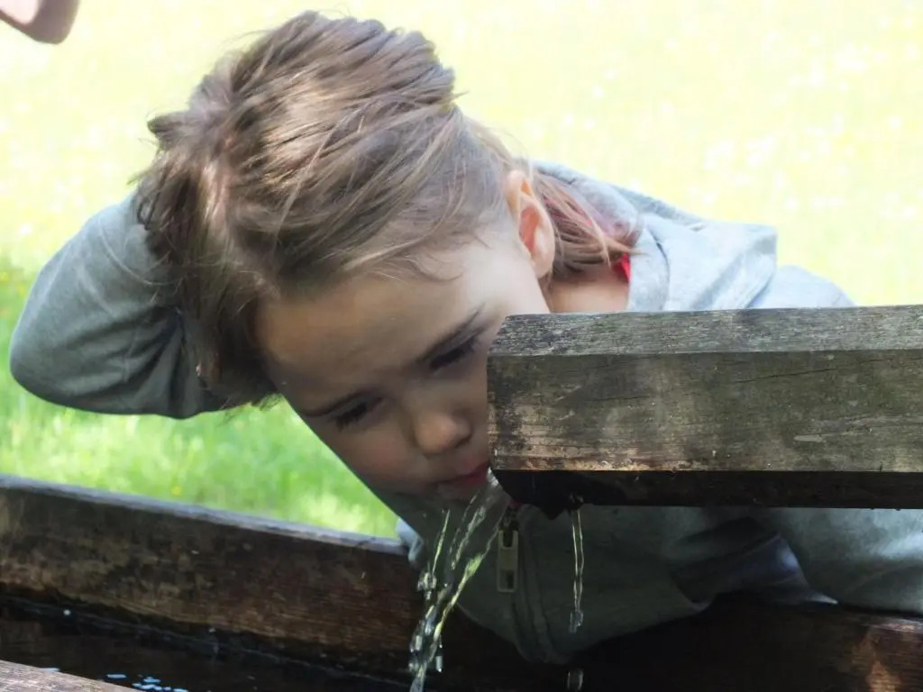Ferienhaus Untergladner