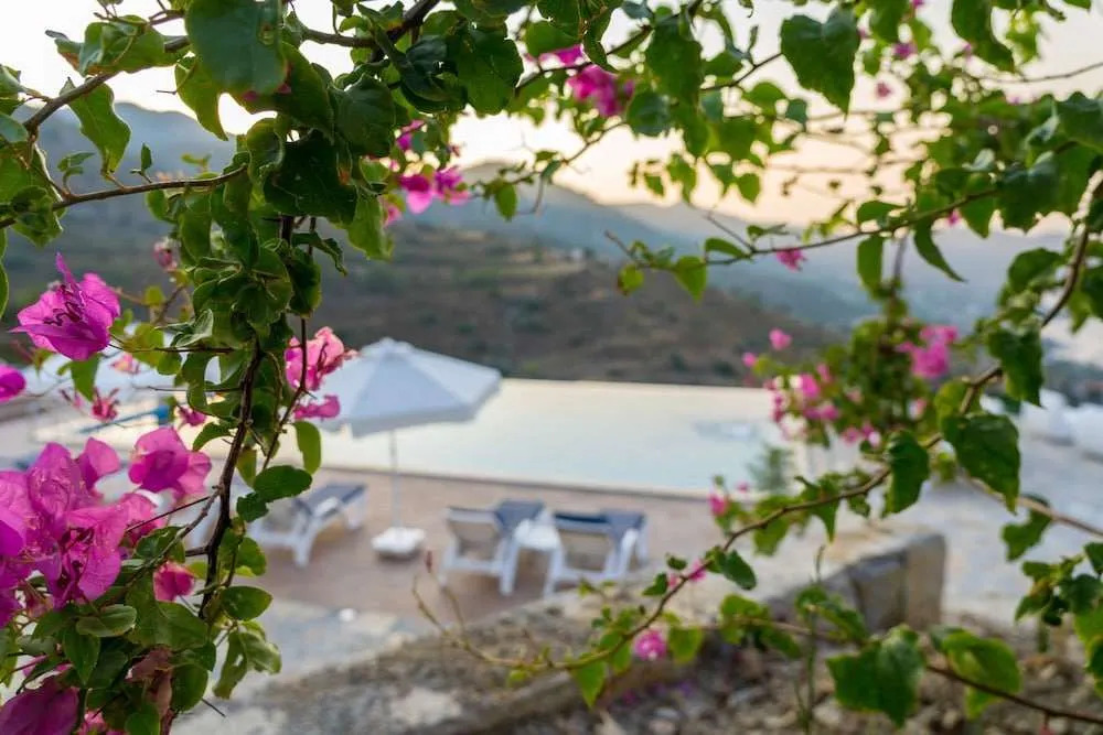 Selimiye Lime Garden