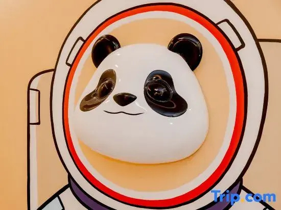 Panda Youkong Designer Suite Homestay (Chengdu Panda Base)