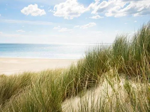 Maisonette-Fewo unter Reet, 50m zum Meer, Strandidyll Zingst