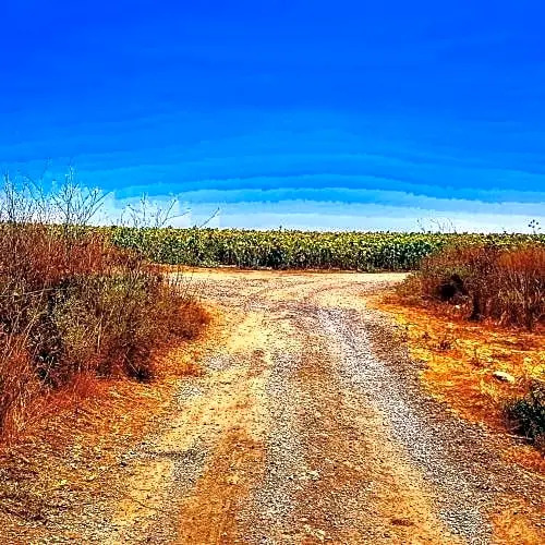 Kibbutz Nachshon