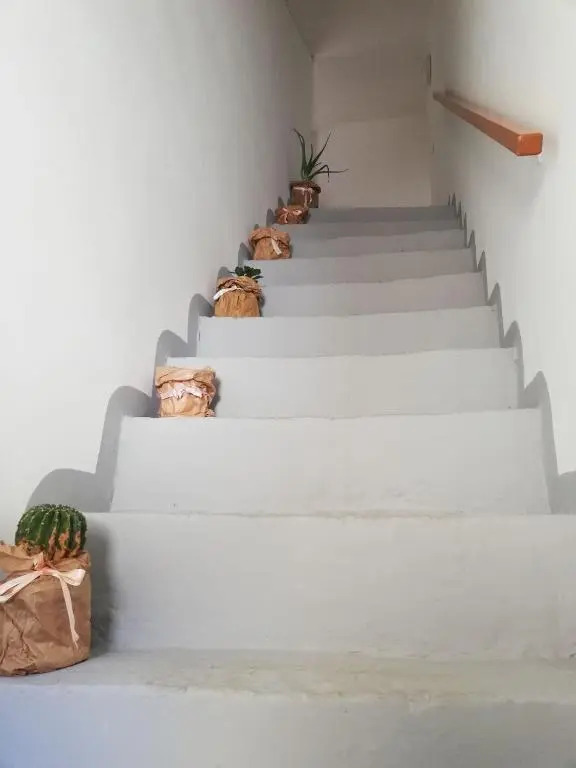 Loft 36