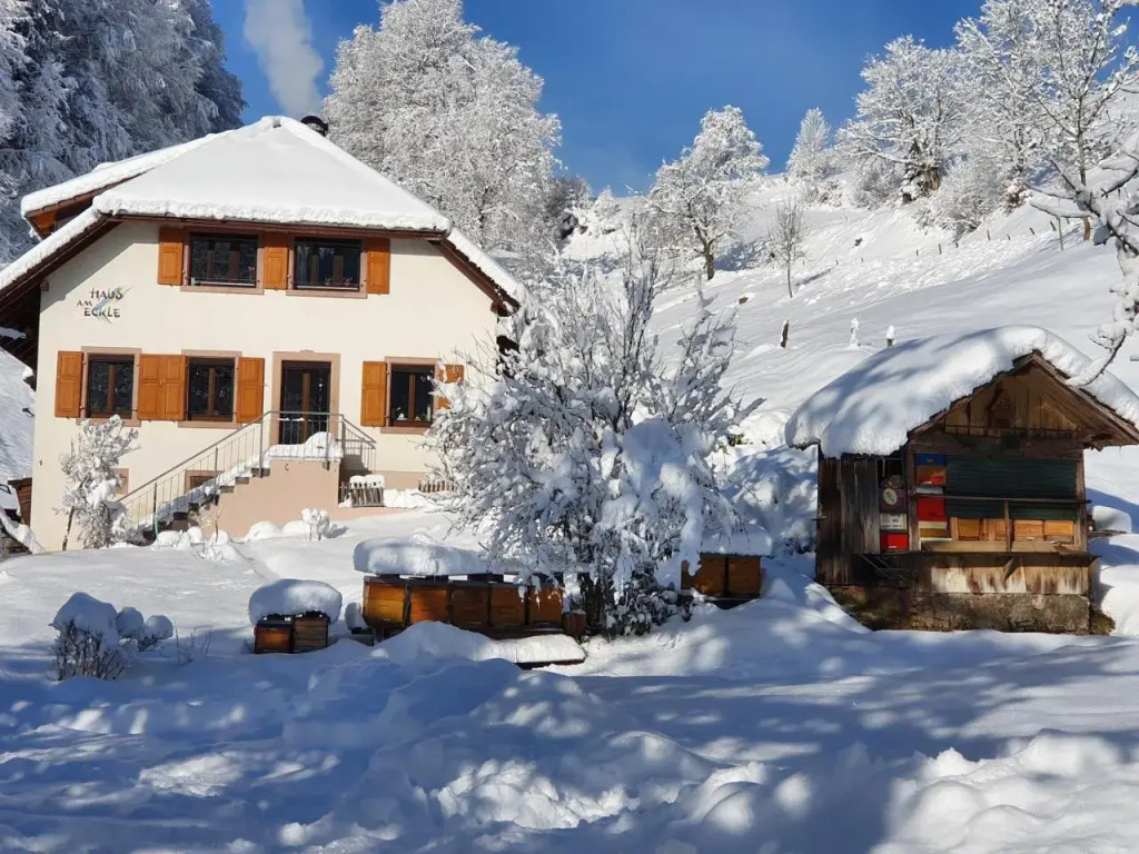 Haus am Eckle