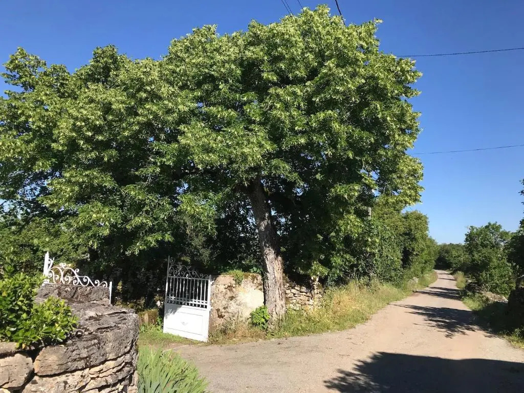 Pech Blanc, Charming BB in Southwest France