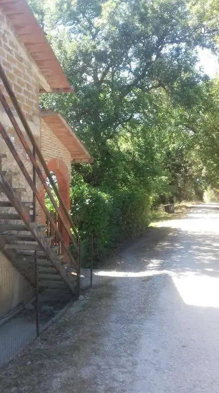 La casa di Lili