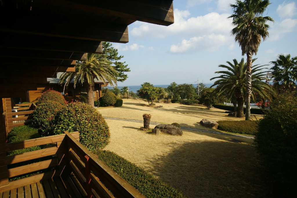 Sunny Day Jeju