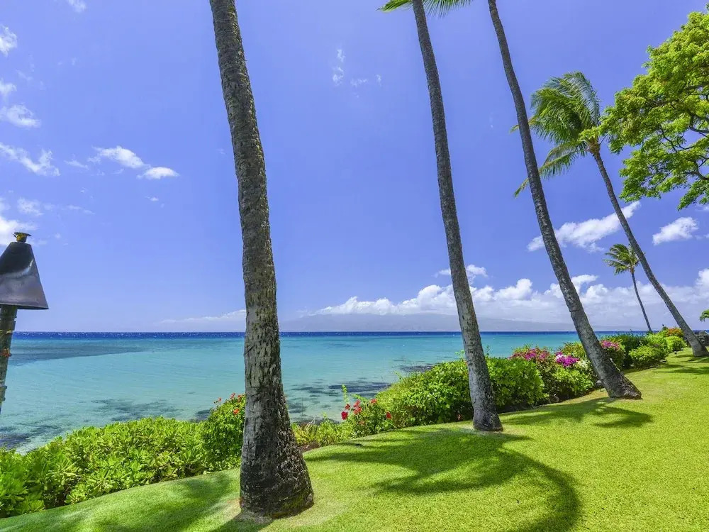 Kuleana 313 - 1Br Condo
