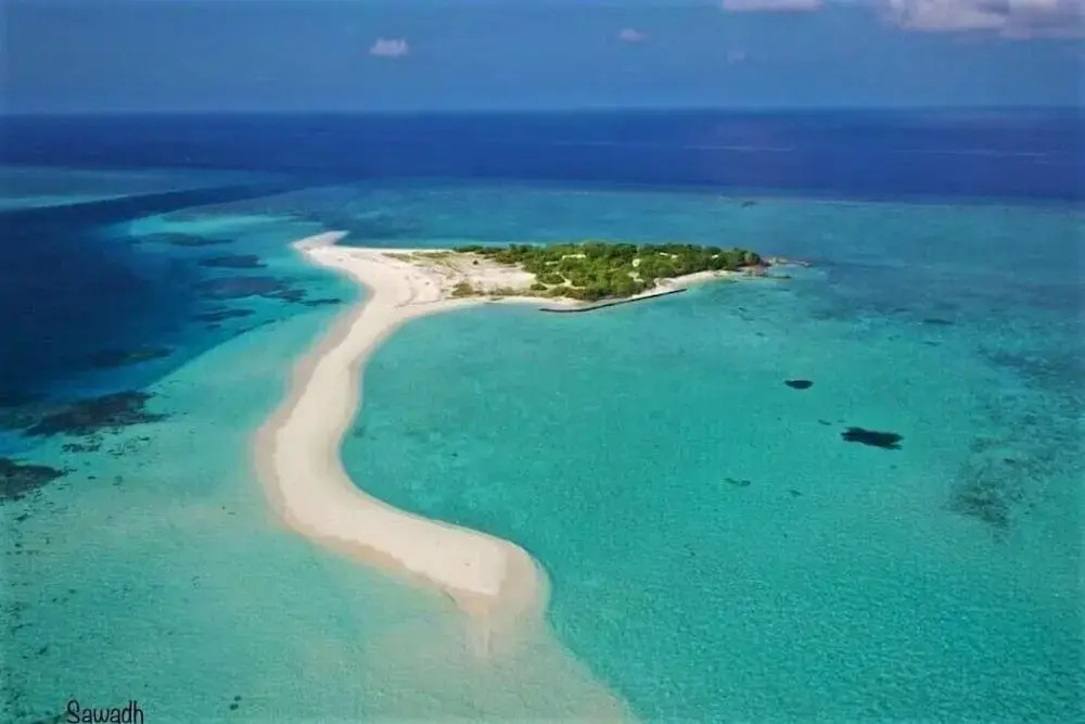 Explore Island Inn