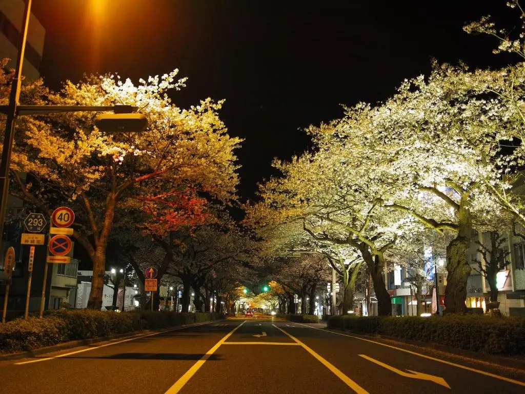 Tourist Hotel Hitachi