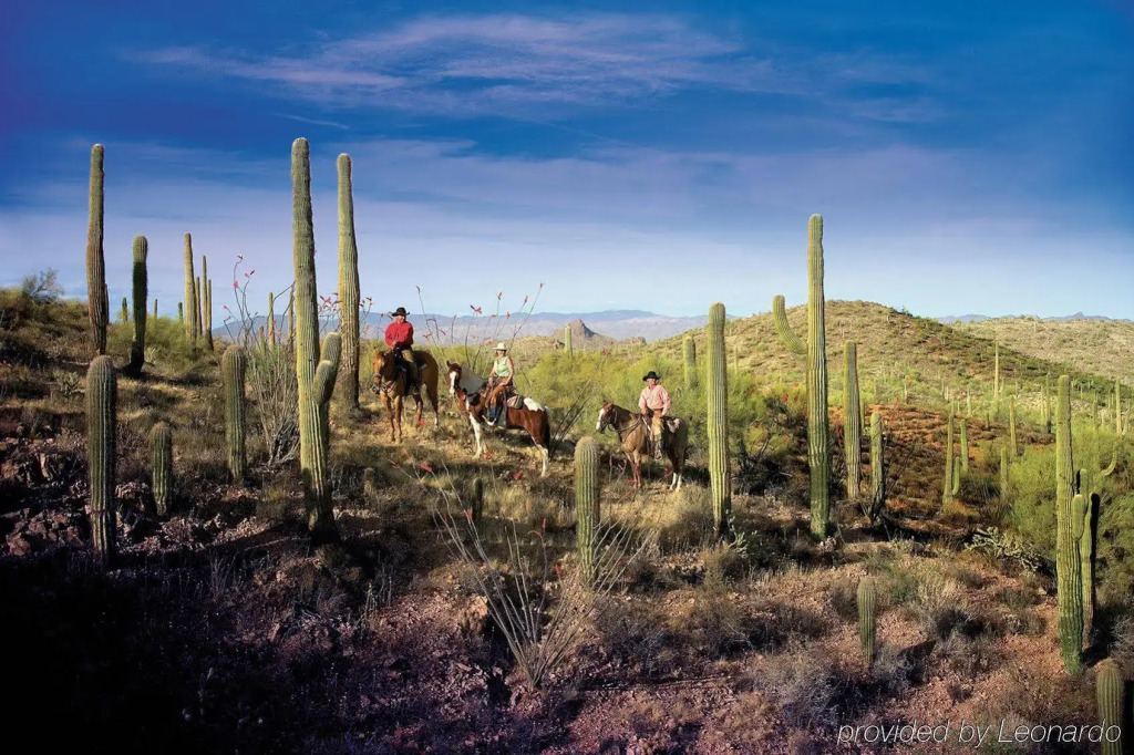 Rancho de los Caballeros Resort
