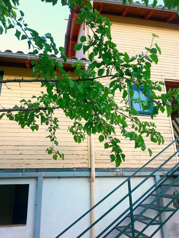 Guesthouse Rondo 2