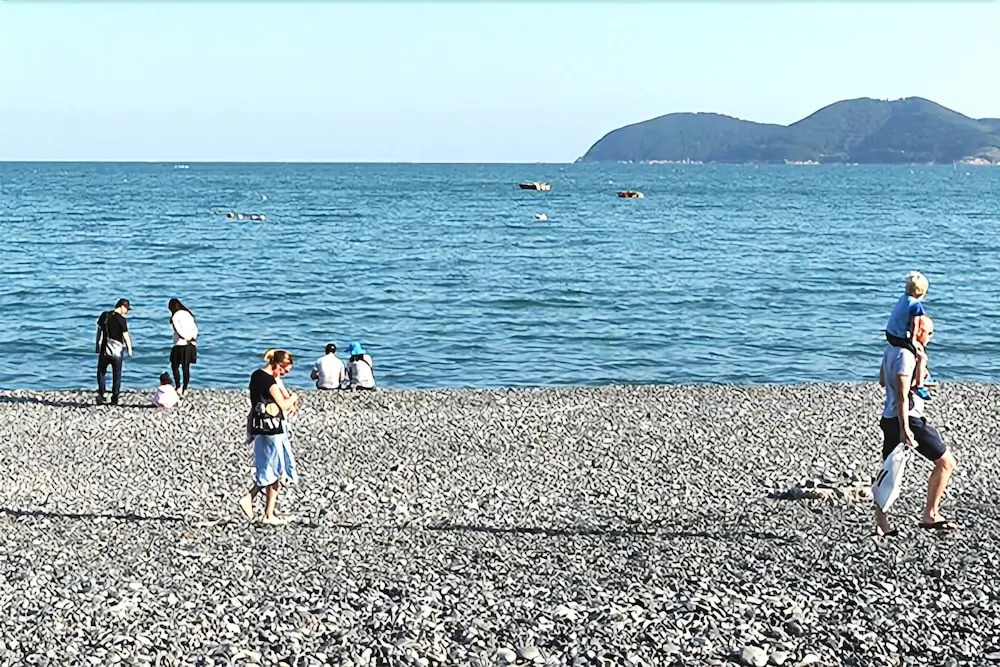 Geoje Teddy Bear Pension