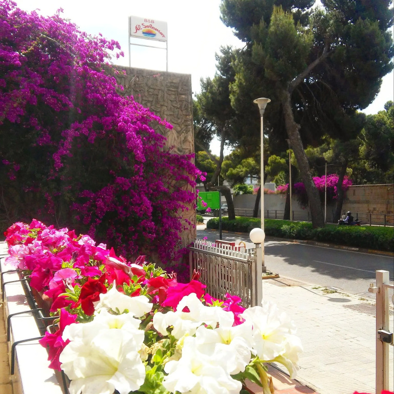 Affittacamere Villa Arazurrina