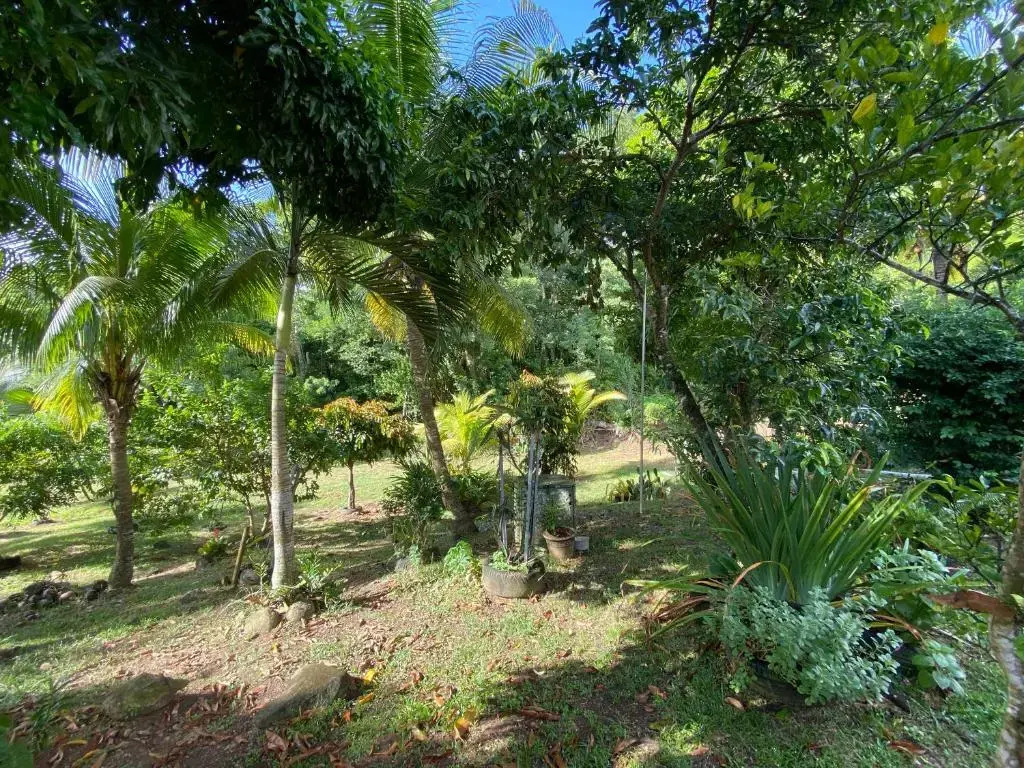 La Suite Odile Piscine