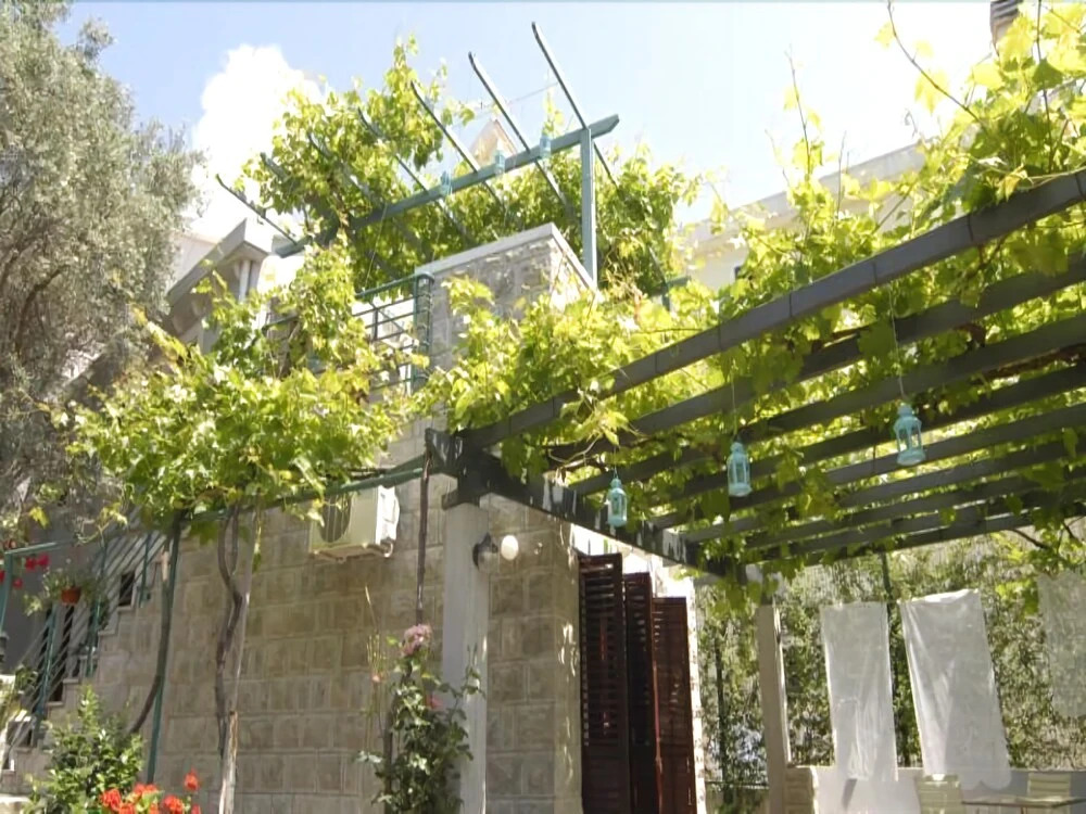 Casa Di Oliveto