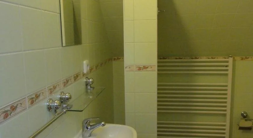 Hotel Bor