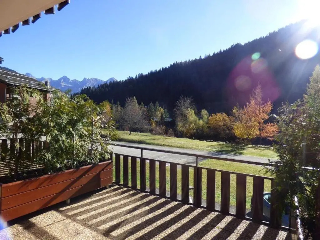 Studio Le Grand-Bornand, 1 pièce, 4 personnes - FR-1-458-106