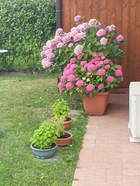 CASA VACANZE DA RIKI
