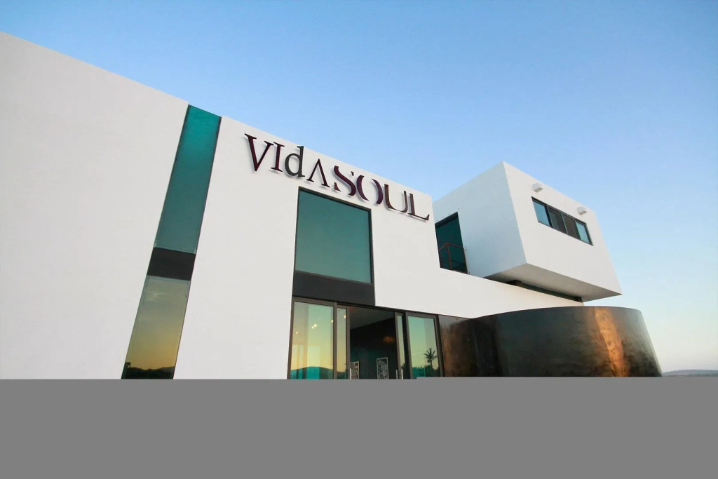 Vidasoul