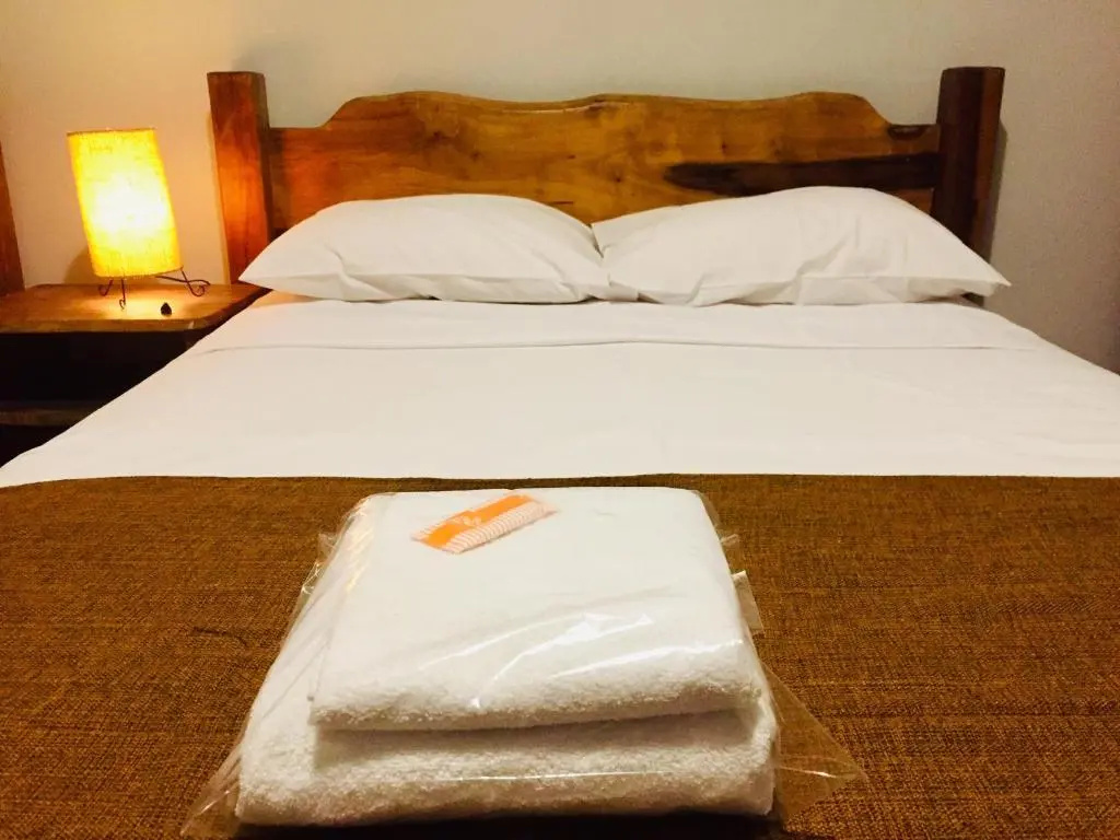 Hotel Novo Horizonte - Monte Sião - MG