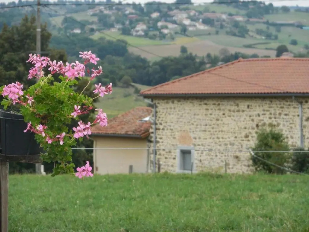 Maison rustique avec jardin à Aveizieux, animaux admis - FR-1-496-175