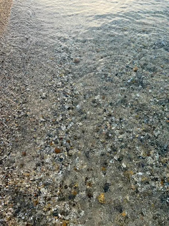 Beach next to the House Agni