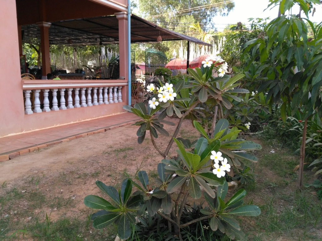 Eco-Home Siem Reap Homestay