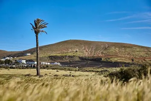 Villa Palmeras Canarias