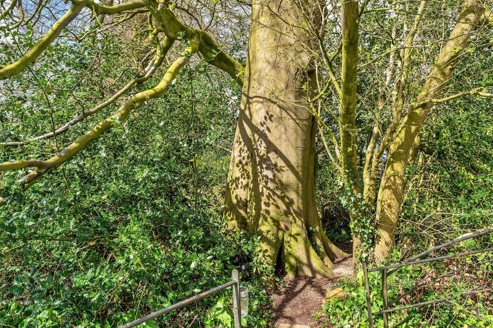 Glamping in Somerset Near Bath & Wells