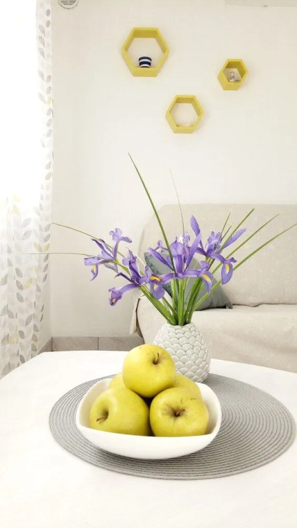 Apartments Franica