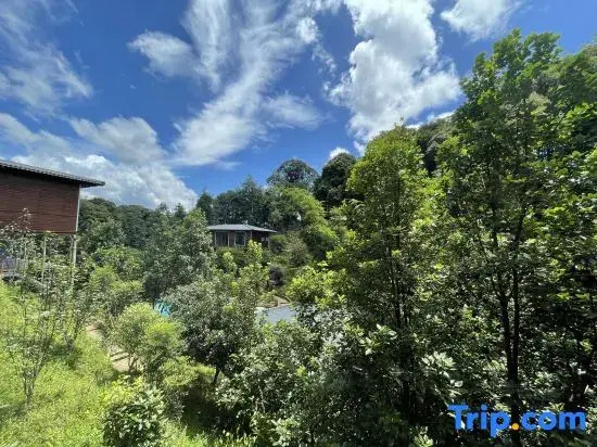 Nankunshan Mountain Farmhouse