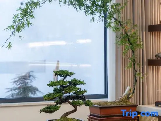 Yi  Hao   Mei    Ju