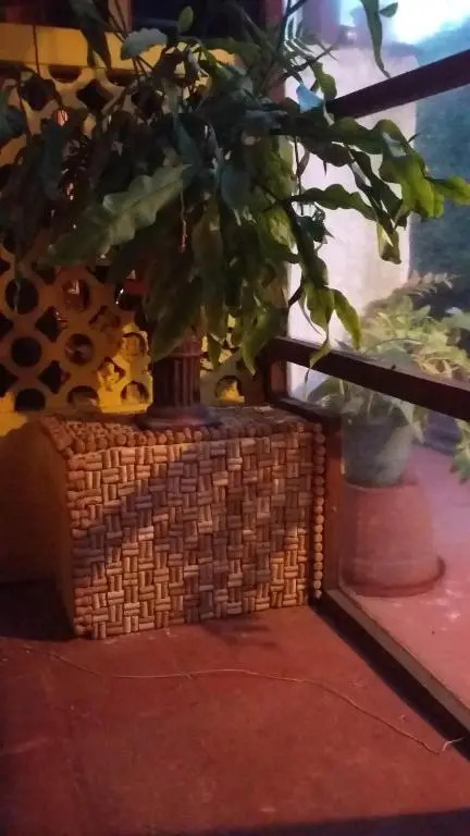 Posada El Bambu