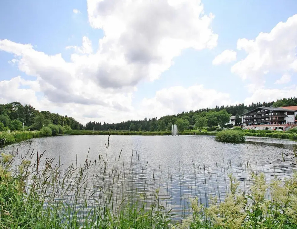 Ferienwohnung, Hahnenklee