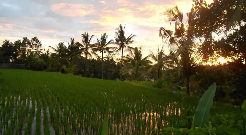 Villa Jasmine B&B