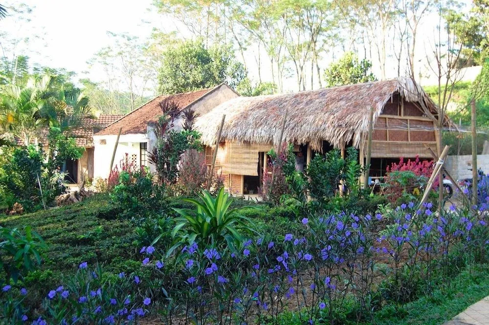 Family Homestay Ba Vi - Hostel
