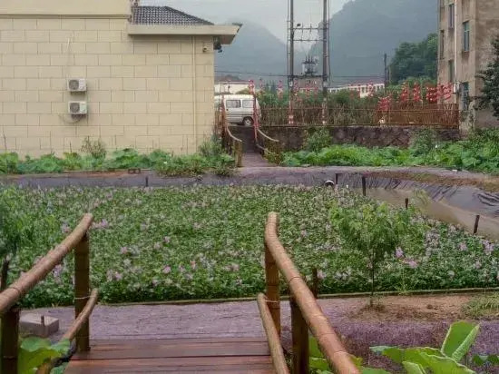Xinchang makes great use of people's farm life