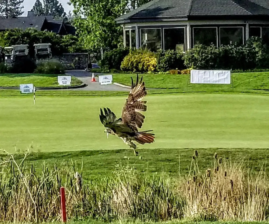 Resort at Eagle Point Golf Club Lodging