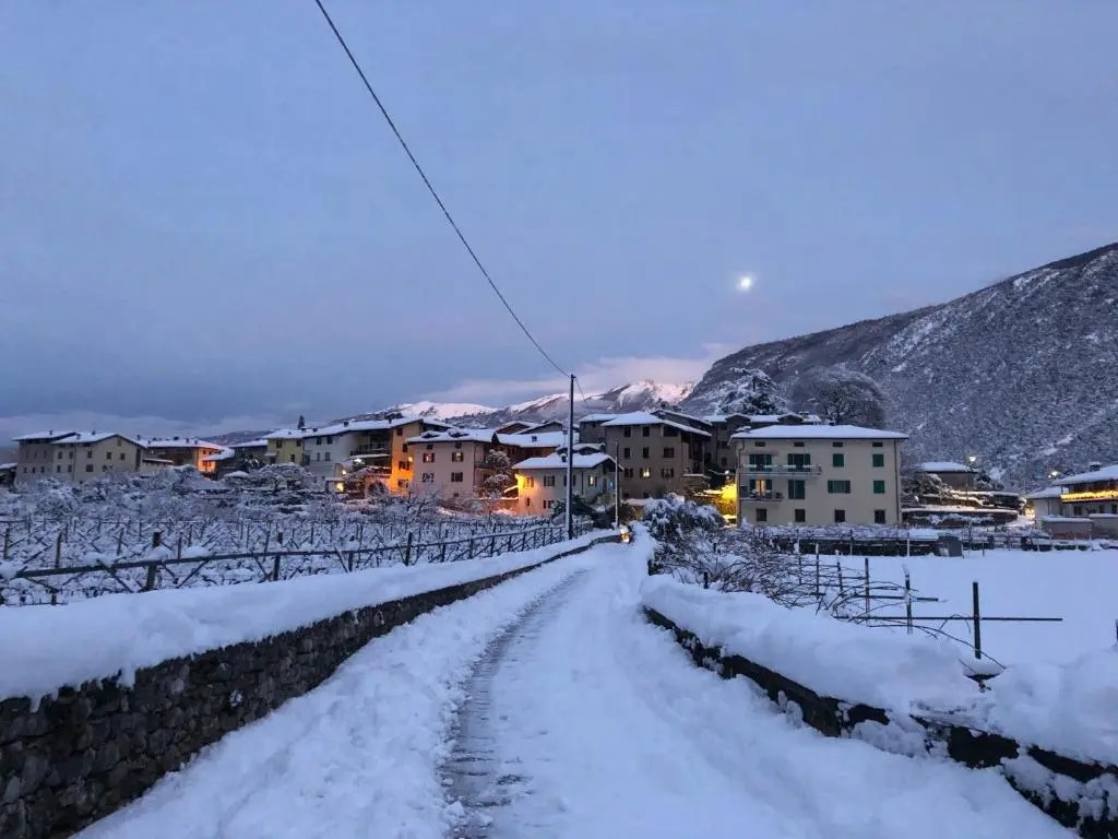 Hotel Garnì Delle Rose
